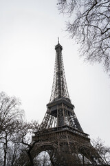 The Eiffel Tower in Paris, France in a monochromatic color