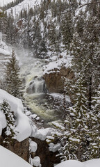 Snow Covered Landscape on the Firehole River in Yellowstone National Park in Winter - obrazy, fototapety, plakaty