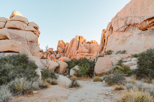Hiking through Joshua Tree