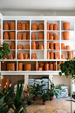 Interiors of plant shop with pots