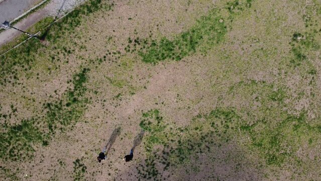 Ripresa aerea di un terreno di un parco colpito dalla siccit&agrave; durante la stagione invernale in Italia. Due turisti camminano ripresa dall'alto con drone.