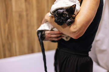 Pet cat bathroom hygiene