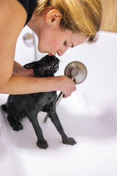 Owner love pet bath time 