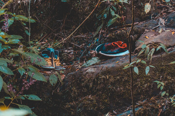 Paisagem Interior Sao Bento do Sapucai Sao Paulo Brazil Capela Igrejinha Igreja Religião Católica Mosaico Fazenda Sitio Natureza Bucolico Cachoeiras Viagem Turismo Turistico Viajar Fim de Semana Vaca 