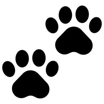 Solid Paws icon