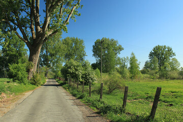 path in Schwerin countryside