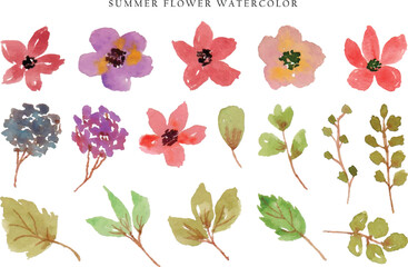 a set of cute summer colorful wild flower and leaf watercolor