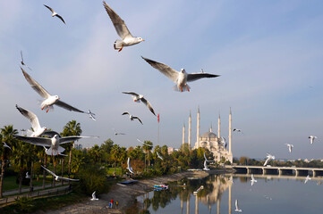 Fototapeta na wymiar Sabanci mosque and seagulls from stone bridge seyhan adana