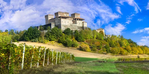 Poster Scenic vineyards and medieval castles of Italy -  impressive Torrechiara (near Parma) Emilia-Romagna region © Freesurf