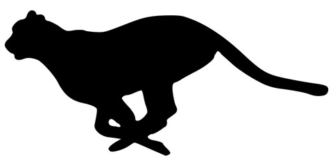 Cheetah silhouette vector illustration isolated on white background. Animal. Wildlife. Mammal