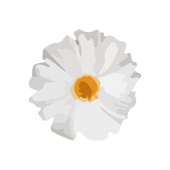 Vector watercolor chamomile flower icon. - obrazy, fototapety, plakaty