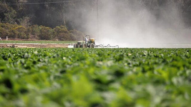 2022 - Distant view of a tractor spraying pesticide on a California farm.