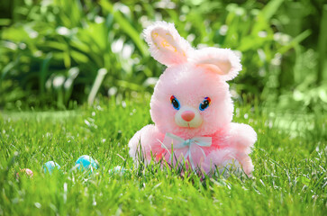 Easter eggs hiding in the grass with rabbit