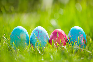 Easter eggs hiding in the grass