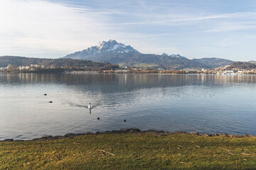 Am Vierwaldstättersee mit Blick auf den Pilatus