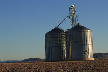 grain silos in the field