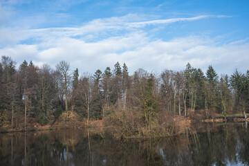 Fototapeta na wymiar Ein Teich im Wald in einer schöner Landschaft