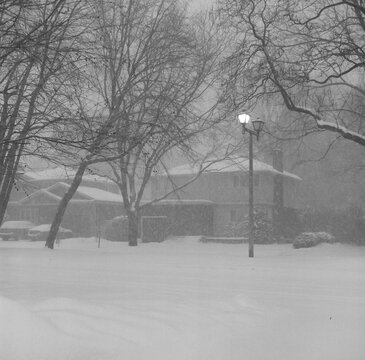 Street Light During A Winter Storm In A Residential Neighbourhood