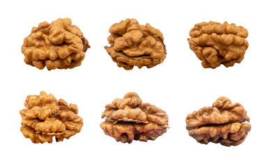 Collection of walnut kernels isolated on transparent background. PNG file.