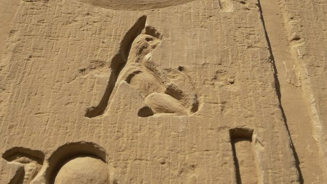 2022 - A snake and cat are engraved on the exterior of Egypt's Temple of Kom Ombo.