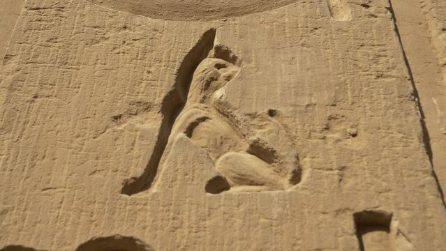 2022 - Zoom in to an engraving of a cat on the exterior of Egypt's Temple of Kom Ombo.