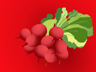 bunch of red radish on the red