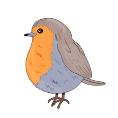 Robin bird in orange and blue color in cartoon style. A feathered animal that lives in the forest. Nest. Vector stock illustration. isolated. White background. hand drawn - obrazy, fototapety, plakaty