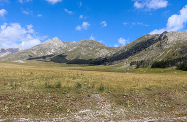 Fototapeta na wymiar View of a mountain landscape with meadow, trees, steppe and buildings in Abruzzo in summer in Italy
