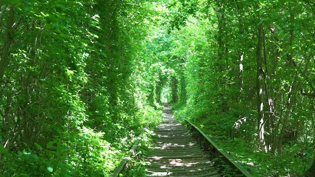 2022 - establishing shot of the Tunnel Of Love rail line through green vegetation in central Ukraine.