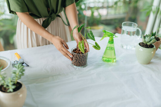 A young girl is engaged in flowers in a bright apartment.