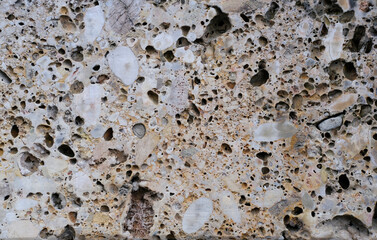 light wall, slab of sawn shell rock with a fine texture of pebbles, pits, part of building,...