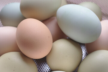 Colorful Chicken Eggs, Easter Eggs