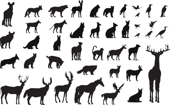 silhouettes of various animals