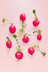 Organic fresh pink radish. Top view. Healthy natural ingredient.