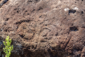 Petroglyphs on the rock at the ceremonial site of Orongo in 2023, Easter Island (Rapa Nui), Chile -2023