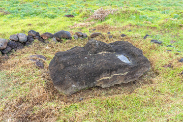 A Moai head in the ground facing up with water in one of its eye sockets in Vinapu Archaeological...