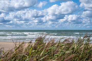 Willow greets the beach and the sea. Beach, sea and sky with white fluffy clouds in the background