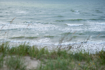 The wind sways the sea and the green grass in the sand dunes. Waves in the sea in windy weather in the background. Copyspace
