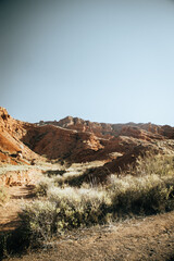 landscape in the desert