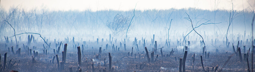 firefighters extinguish a fire in the spring dead wood next to a dangerous object, the front and...