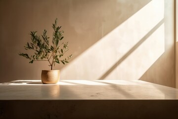 Minimal empty white marble stone counter table top, green tree in sunlight, leaf shadow on beige brown stucco cement wall for luxury organic cosmetic. Generative AI