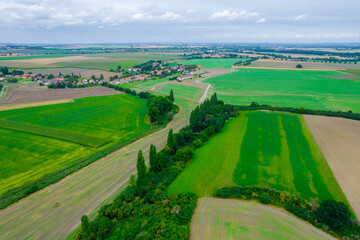 Fototapeta na wymiar Top view of the countryside, green fields with various crops, agribusiness. Cultivation of cereals.