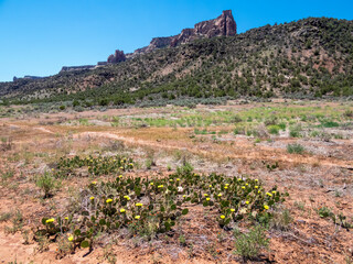 Base of the Colorado National Monument