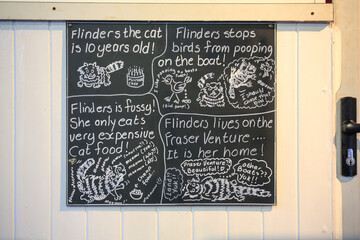 Blackboard notice about the cat onboard a ferry in New Zealand.