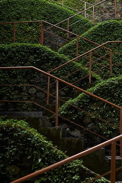 Closeup regular garden green steps and handrails