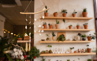 Wind Chime Made Of Shells