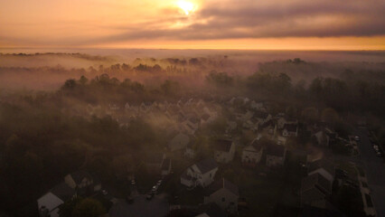Skyview foggy sunrise over trees