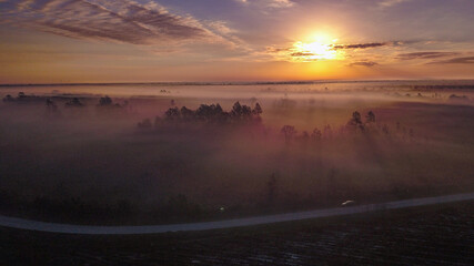 Skyview foggy sunrises over a forest