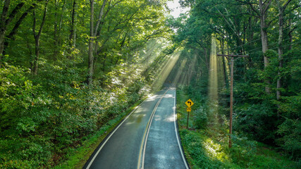 Obraz premium Sunrays on a country road