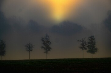 Obraz na płótnie Canvas Morning foggy sunrise